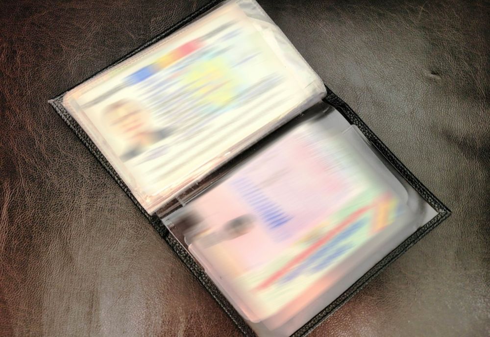 Fals procurat cu 150 de euro, depistat la controlul de frontieră   