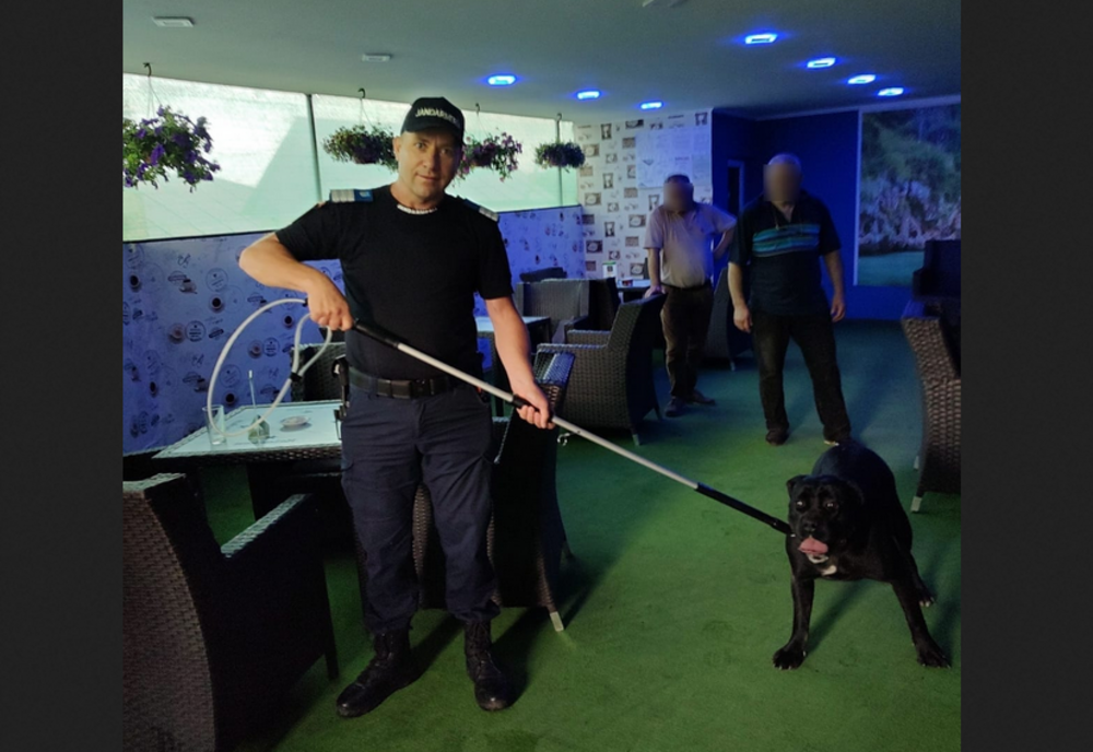 Câine periculos ce speria clienții unei terase din Bârlad îndepărtat de jandarmi