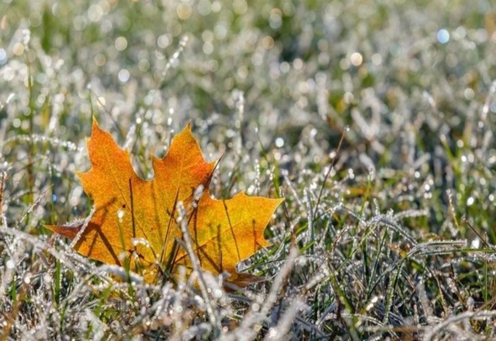 ANM - Au început ninsorile în zonele montane