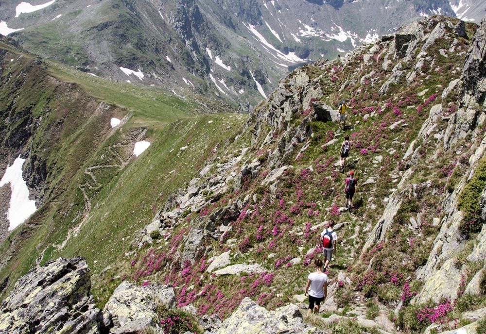 TRAGEDIE EVITATĂ ÎN MUNȚII FĂGĂRAȘ