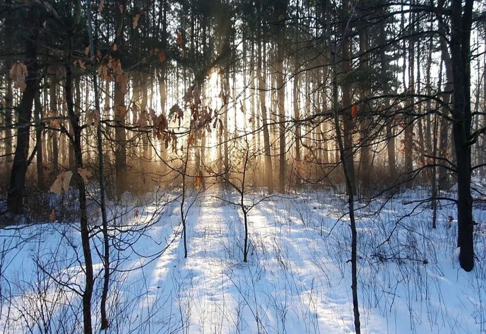 Schimbări radicale ale vremii: temperaturile sar brusc la 15 grade! Cum va fi vremea de Crăciun