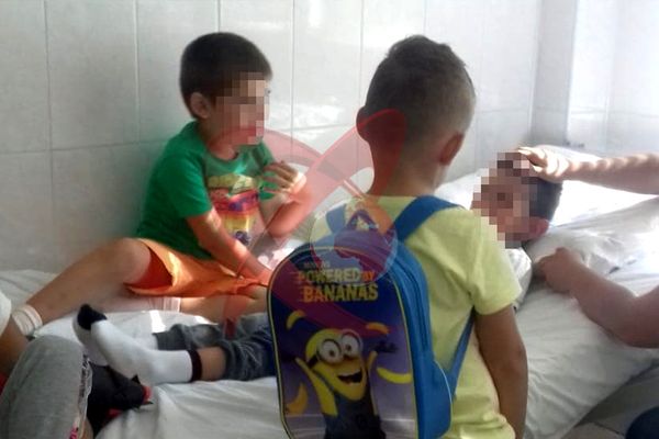 Copii de grădiniță înțepați de albine în Grădina Publică