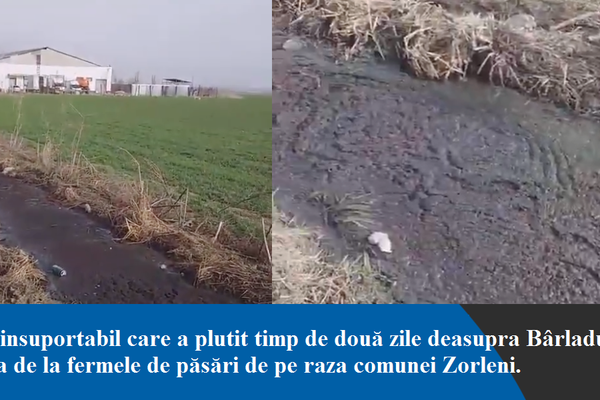 Misterul mirosului de la Bârlad a fost elucidat: dejecții de la fermele de păsări din Zorleni