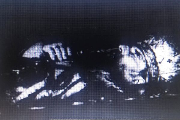 Acțiunea de deshumare a episcopului Grigorie Leu al Hușilor, decedat în condiții suspecte