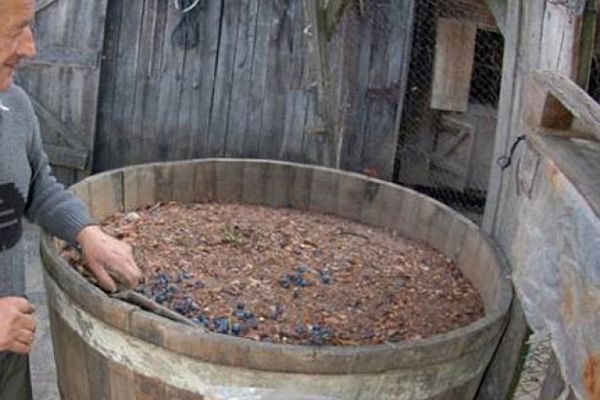 Atenție la fermentarea vinului!