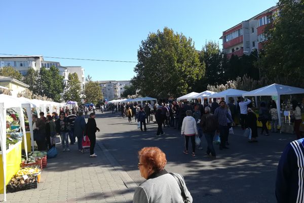 Vaslui, gazda Zilelor Recoltei