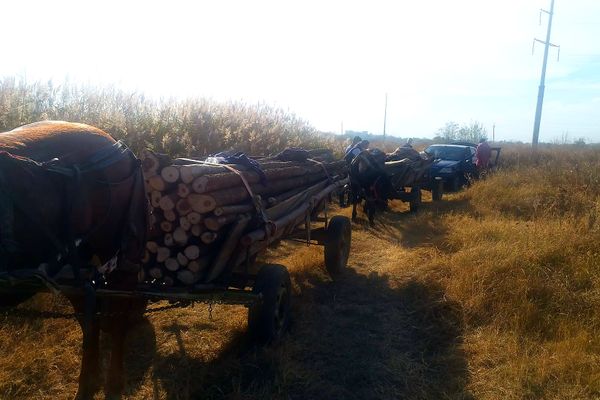 Accident spectaculos, cu trei mașini implicate, pe DE 581