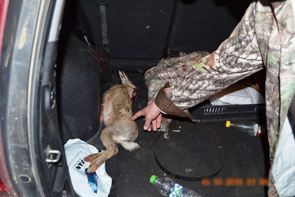 Trei braconieri depistaţi la Bumbăta