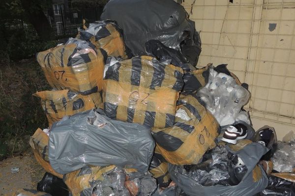 Jandarmii au împărțit amenzi hoților de lemne