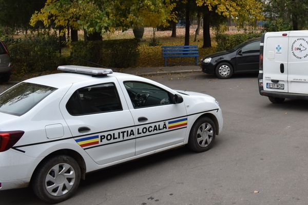 Șase persoane sancționate contravențional după scandalul izbucnit la prinderea câinilor fără stăpân