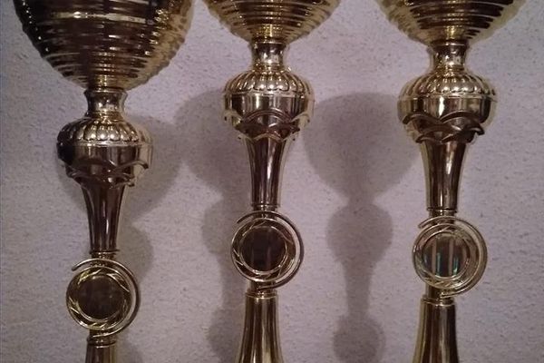 Trofee pentru actorii de la LMK Vaslui