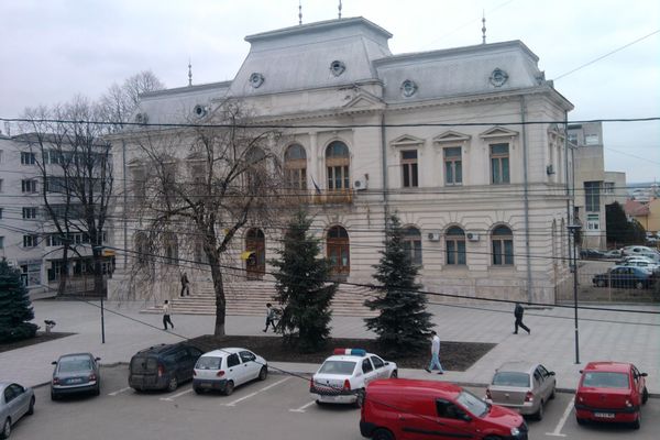 Avocații vasluieni sunt în grevă japoneză