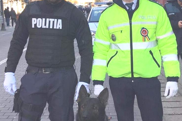 Maraton de dans de Revelion