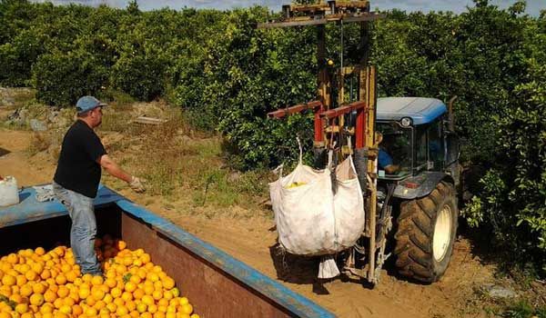 Spania caută lucrători în agricultură