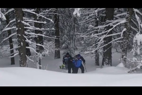 Zeci de hectare de vegetație, cuprinse de flăcări