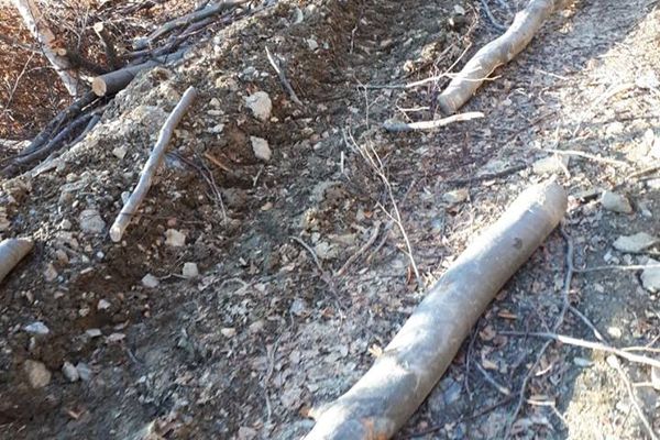 DOLIU. Un fost medic bârlădean, a trecut în neființă! De ce era acesta apreciat de oameni.