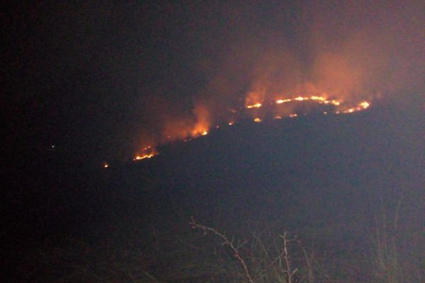 VIDEO: Zeci de hectare de vegetație uscată, mistuite de flăcări