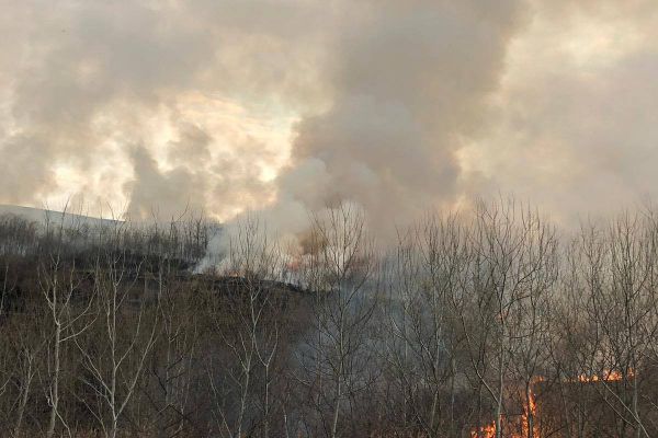 Alertă la Murgeni: O lizieră este cuprinsă de flăcări