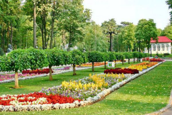 Registrul spațiilor verzi, în dezbatere publică