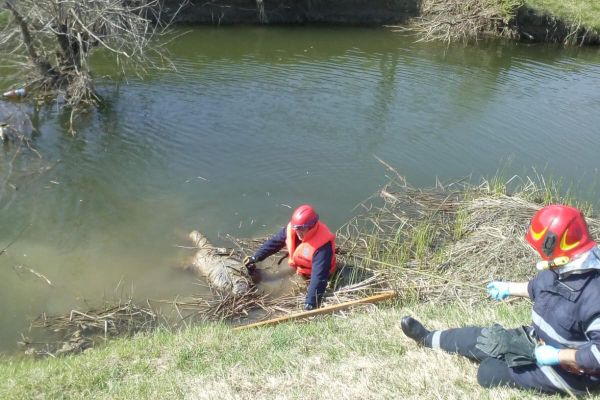Cadavrul unui bărbat dispărut, găsit în râul Bârlad