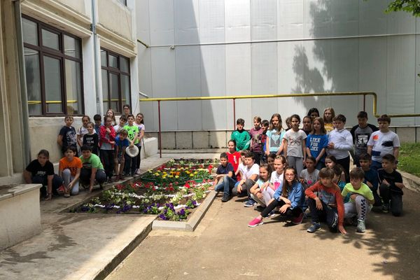 Elevii Școlii ”Elena Cuza” Vaslui au dat culoare spațiului verde din curtea unității