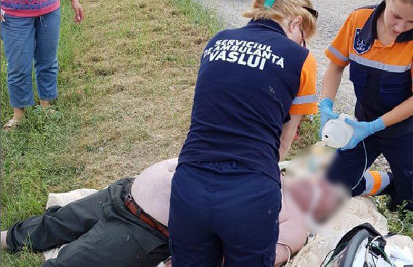 Vasluian omorât de un roi de albine