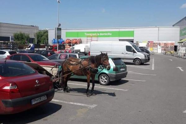 Un bărbat din Epureni, în stare gravă la spital după ce a căzut din căruță