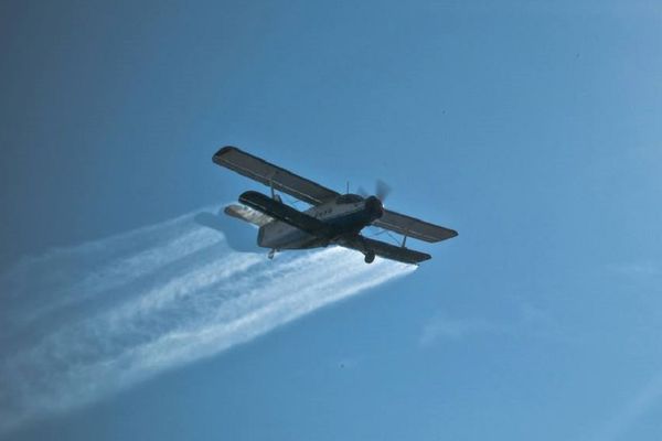 Dezinsecție în Bârlad: Acțiune de combatere a țânțarilor, căpușelor și muștelor