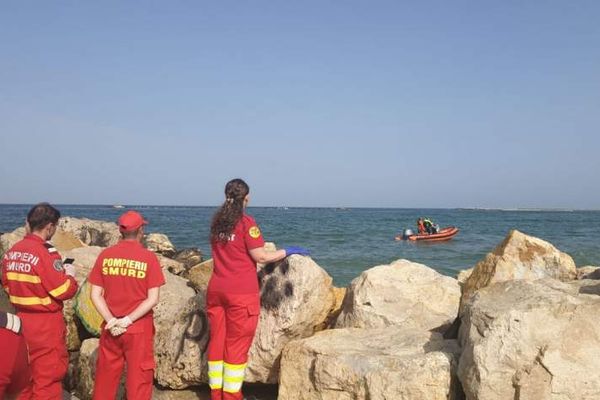 Cutremur de 4,1 grade în Vrancea, sâmbătă seara