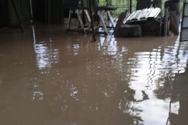 Prăpăd la Cârja. Locuințe și gospodării măturate de ape!