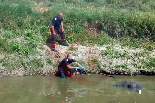 Cadavru în stare de putrefacție pe râul Bârlad, în dreptul localității Tutova