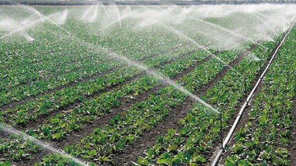 Echipamente de irigații gratuite pentru fermierii de pe Valea Prutului