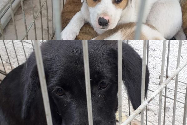 ”10 pentru Siguranță!”, la Liceul cu Program Sportiv Vaslui