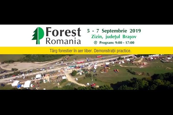 FOTO&amp;VIDEO: Incendiu la fosta fabrică de mobilă din Vaslui