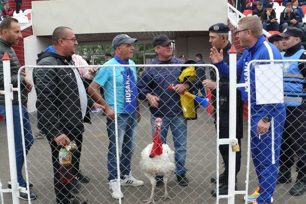 Un hușean a venit cu curcanul pe stadion