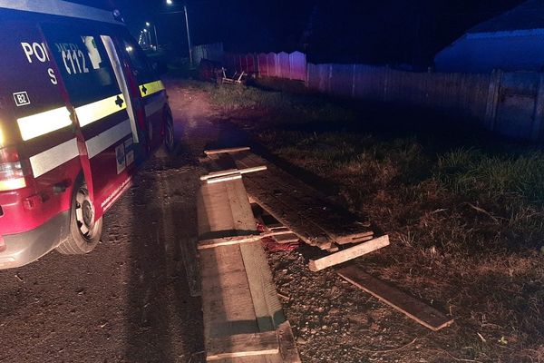 Vitezoman cu... doi cai putere! N-a mai putut stăpâni căruța și a intrat într-un cap de pod