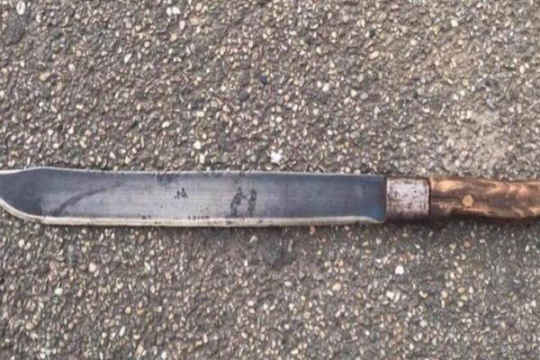 Echipă care făcea campanie electorală pentru Viorica Dăncilă, atacată cu maceta!