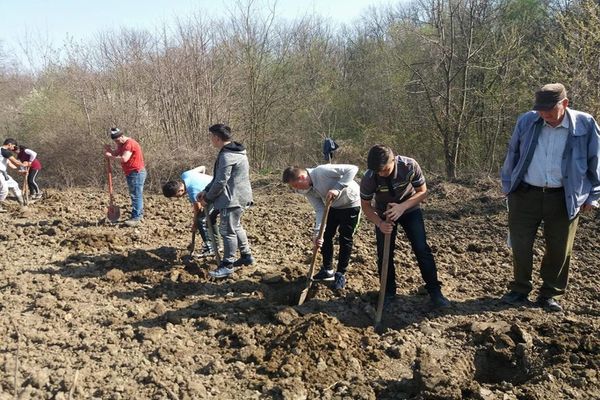 20 de hectare de teren, pregătite pentru împădurire la Vaslui
