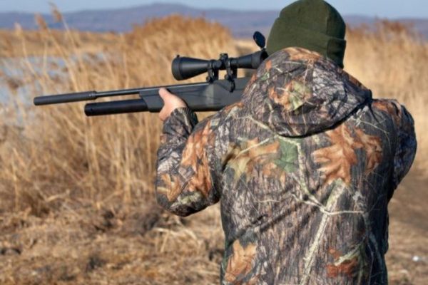 D-ale braconajului: un vânător a tras într-o vulpe și a nimerit un căprior!