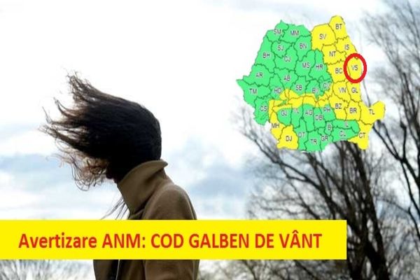 Atenționare ANM: Vasluiul și alte 24 de județe sunt vizate de atenționare COD GALBEN de vânt puternic!