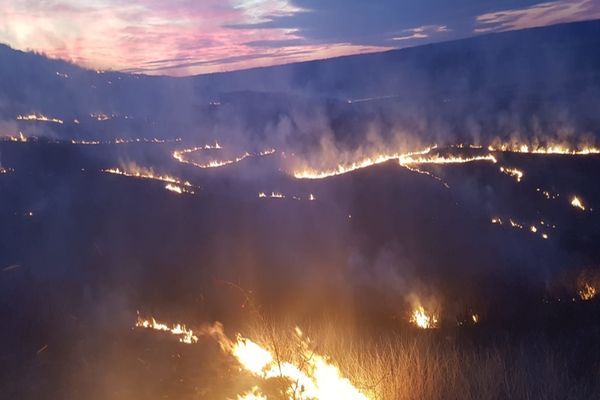 Incendiu de vegetație în comuna Oltenești. Mai multe echipaje de pompieri intervin la fața locului