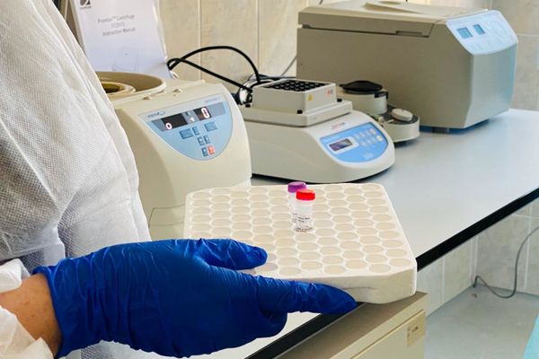 BILANȚ OFICIAL LA ZI: Coronavirus – 7707 de cazuri confirmate în România! Situația și pe județul Vaslui.