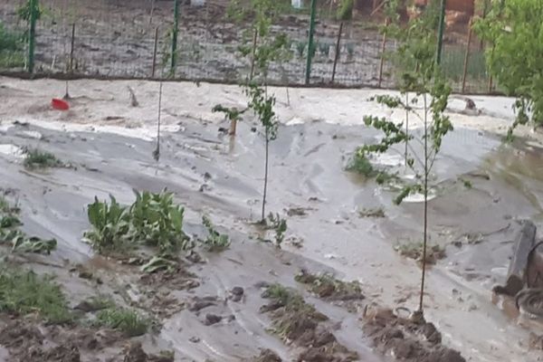 Zone inundate de viituri în urma ploilor în Zorleni și Popeni - VIDEO