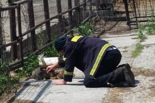 Misiunea eroilor este să salveze orice viață. Numele salvatorilor de astăzi: Pavel Silian și Tiberiu Bucur