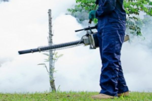 Începe dezinsecția terestră în Vaslui