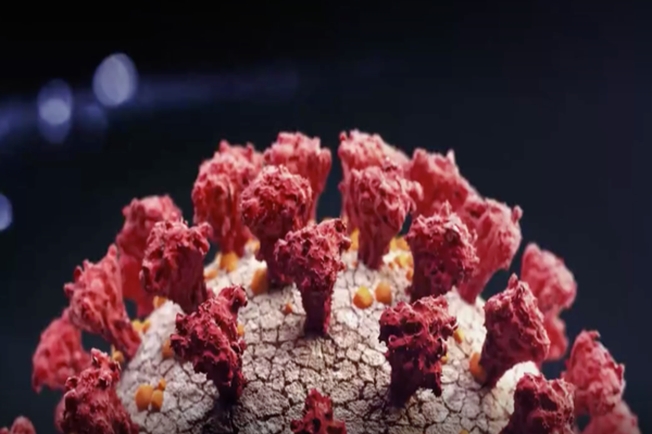 Bilanț Covid-19: 1.059 infectați, 1.520 de vindecați, 45 decedați! În ATI sunt internați 496 de pacienți. Vezi situația în județul tău