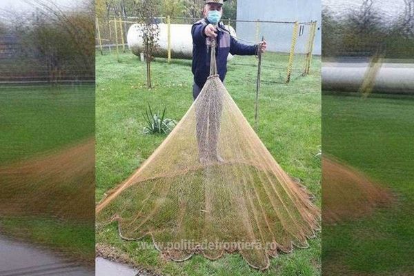 Peşte redat mediului natural 