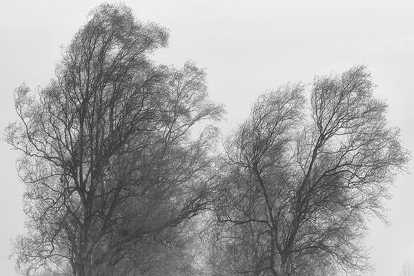 CODUL GALBEN DE VÂNT, prelungit până la ora 17:00