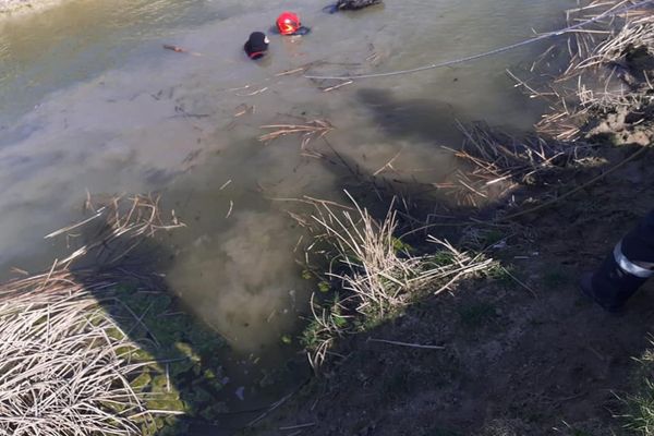 Cal, salvat de la înec de pompierii vasluieni