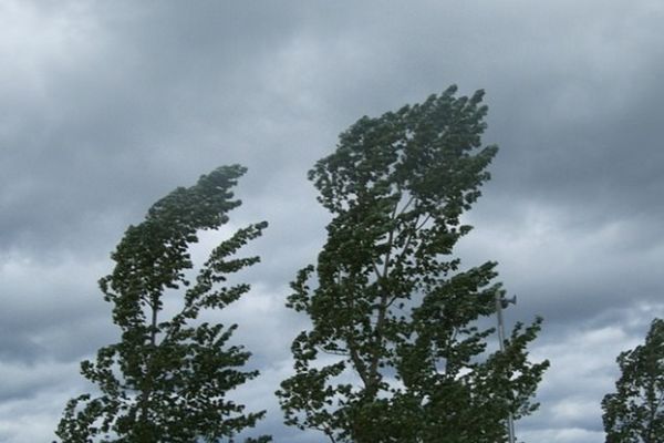 Cod galben de vânt în cinci judeţe, până la ora 17:00
